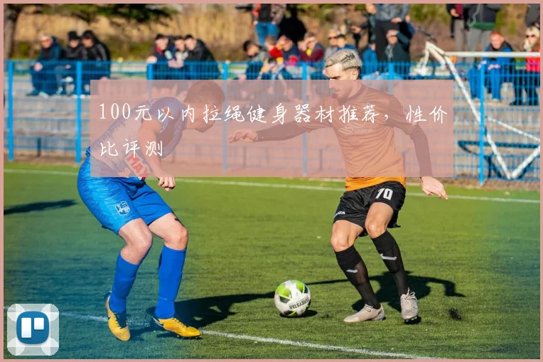 100元以内拉绳健身器材推荐，性价比评测