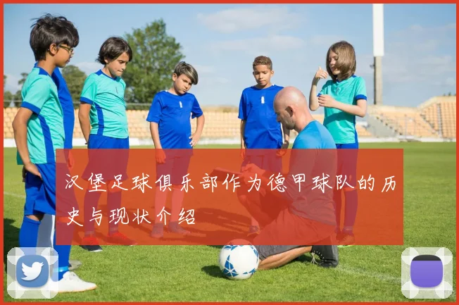 汉堡足球俱乐部作为德甲球队的历史与现状介绍