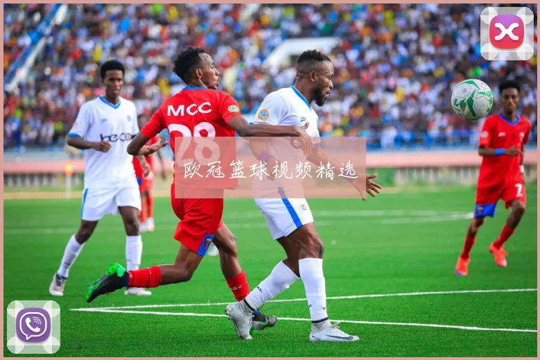 欧冠篮球视频精选