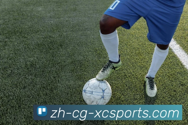 杏彩体育平台生态图