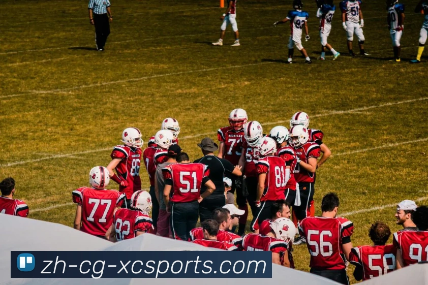 杏彩体育全站App